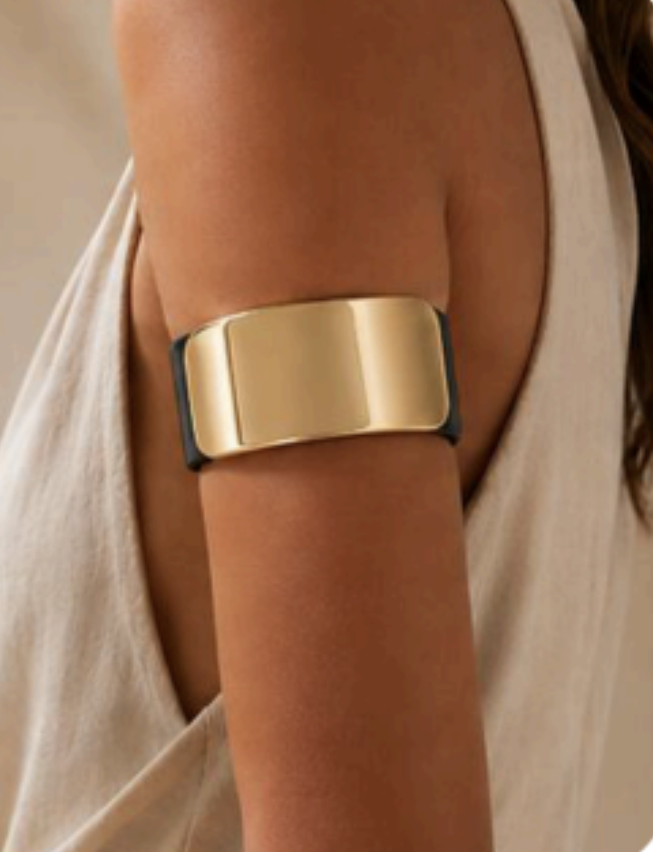 Echo wearable armband prototype
